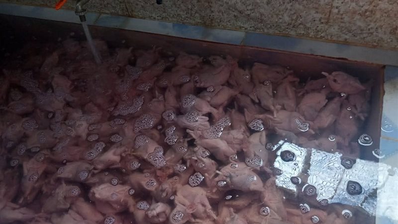 ضبط طن و396 كيلو