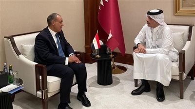 مصر وقطر تؤكدان على ضرورة وقف إطلاق النار في غزة ودعم جهود السلام
