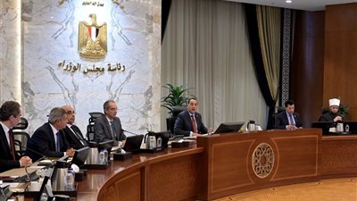 مدبولي: نرحب بأي نقد موجه للأداء الحكومي.. ولكن هناك من يتعمد اختلاق وقائع كاذبة