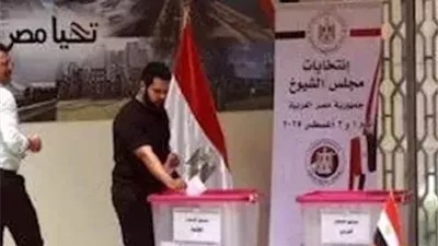 اليوم.. بدء التصويت في الخارج على انتخابات مجلس النواب للدوائر الملغاة