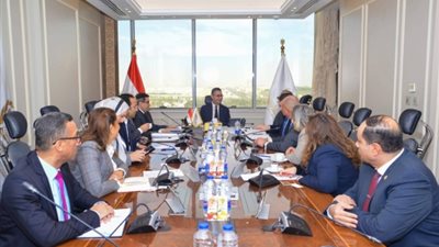 وزير التموين يبحث مع بلومبرج جرين تطوير البنية التحتية لتخزين وتداول الحبوب