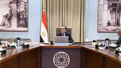 رئيس الوزراء: الحكومة جاهزة لتوفير السلع الأساسية واللحوم قبل رمضان