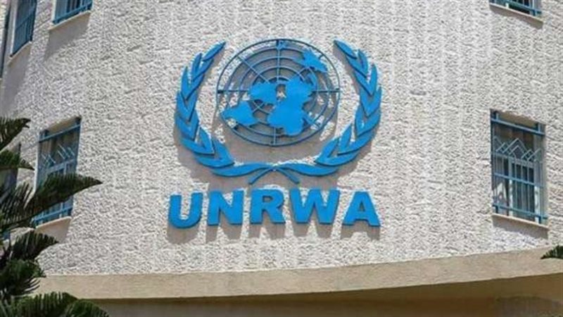 وزارة الخارجية المصرية