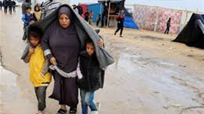 غزة في الشتاء