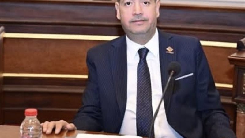 النائب أحمد السيد