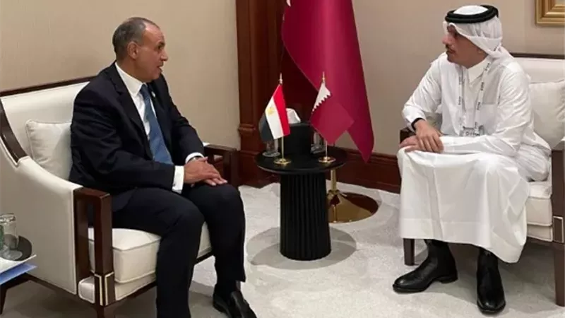 وزير الخارجية المصري