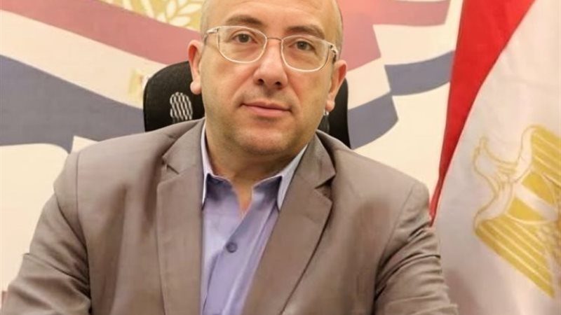 الدكتور محمد الغمري