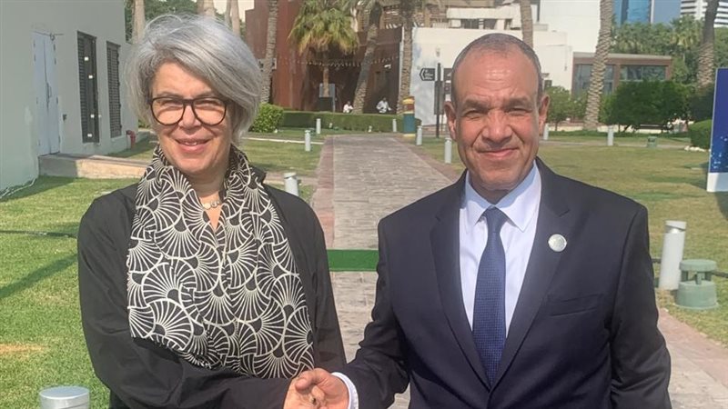 وزير الخارجية يلتقي