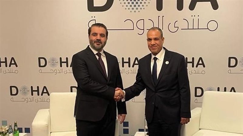 وزير الخارجية المصري