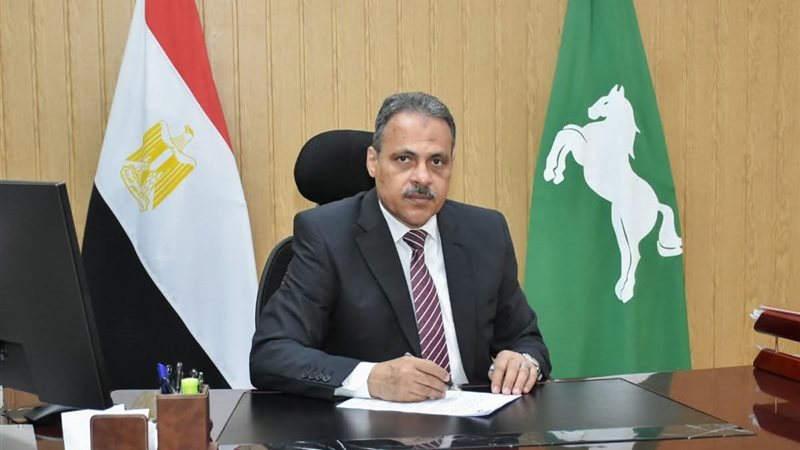 محافظ الشرقية