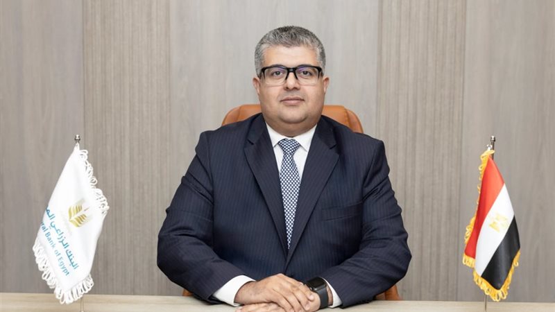 يحيى العناني، رئيساً