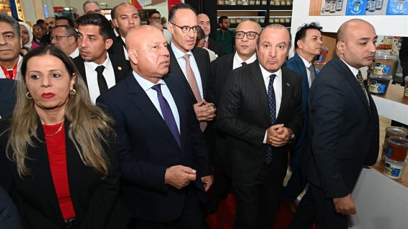 نائب رئيس مجلس الوزراء