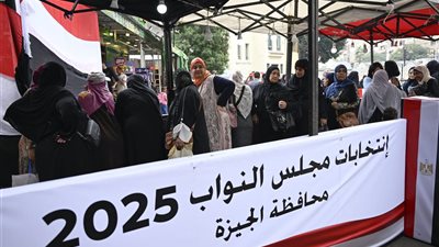 محافظة الجيزة تتصدر المشهد مع بداية التصويت في الدوائر الملغاة بانتخابات النواب