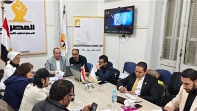 المصري الديمقراطي.. يمدّد أعمال رصده لليوم الثاني ومتابعة دقيقة داخل الدوائر الثلاثين