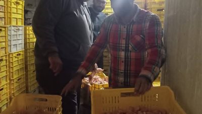 ضبط 45 طن لحوم ودواجن فاسدة خلال شهر بالجيزة