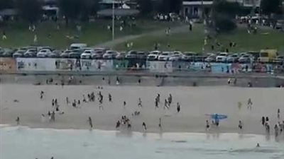 شاهد لحظة تنفيذ هجوم سيدني .. إطلاق نار وسقوط 10 قتلى