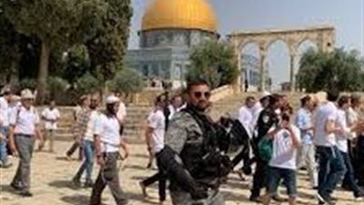 اقتحامات استفزازية للمسجد الأقصى.. وسلسلة هجمات تستهدف الأراضي والممتلكات