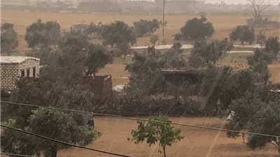 أمطار خفيفة تضرب شمال سيناء: الأوضاع مستقرة والطقس بارد