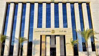 بعد إعلان وزير العمل.. كل ما تريد معرفته عن مبادرة التفتيش الذكي