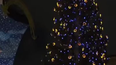 افتتاح شجرة عيد الميلاد والمغامرة بساحة القديس بطرس بالفاتيكان 