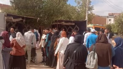 الوادي الجديد ..مركز بلاط يشهد إقبالا لافتا من الشباب وكبار السن على صناديق الاقتراع