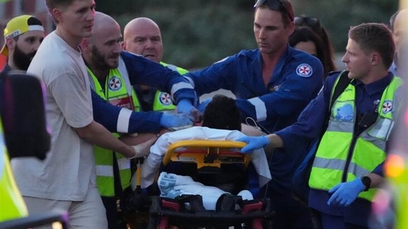 صورة من موقع الحادث