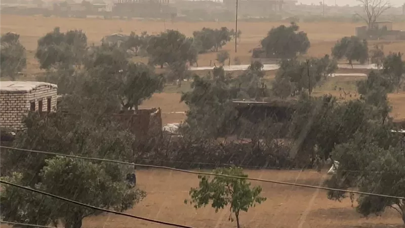 أمطار خفيفة تضرب