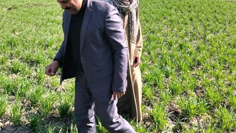 جانب من الزيارة الحقلية