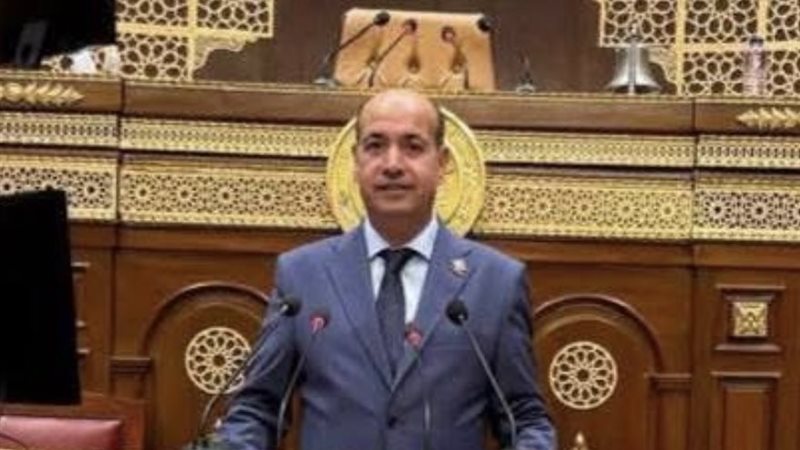 النائب أحمد السيد