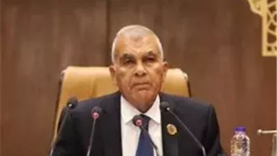 مجلس الشيوخ يعود للانعقاد ويناقش تعديلات تشريعية على قانون الكهرباء