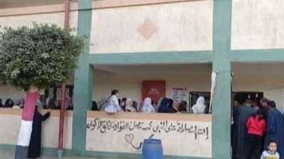 انتخابات مجلس النواب.. توافد الناخبين أمام اللجان بالمنوفية للإدلاء بأصواتهم