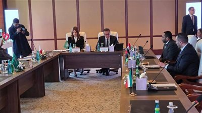 وزير الصحة: مخرجات اللجنة تبرز قضايا صحية مشتركة مع ليبيا تتطلب توحيد الجهود العربية