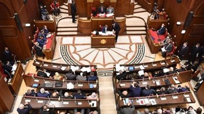 مجلس الشيوخ يناقش تعديلات قانون نقابة المهن الرياضية لمواكبة التطور الأكاديمي