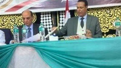 الدقهلية تشهد انتهاء جولة الإعادة وتسجيل نسب مشاركة مرتفعة