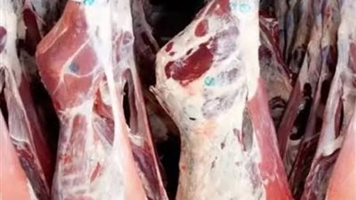 استقرار أسعار اللحوم في الأسواق اليوم الجمعة 2025/12/19