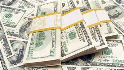 بقيمة 11 مليون جنيه.. ضبط قضايا اتجار في النقد الأجنبي بالسوق السوداء 