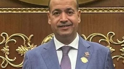 برلماني: سلامة وأمن الدول العربية من أمن مصر القومي (خاص)