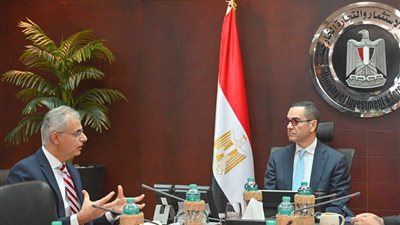 لبحث سبل التعاون.. وزير الاستثمار يلتقي الرئيس  التنفيذي لشركة 