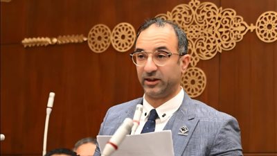 نائب التنسيقية أحمد الحمامصي يوافق على تعديلات قانون الكهرباء