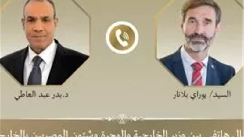 د. بدر عبد العاطي