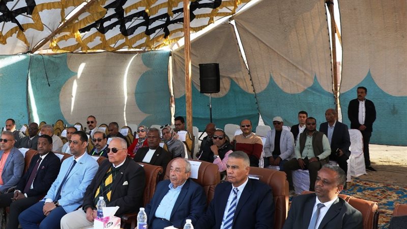 محافظ أسوان