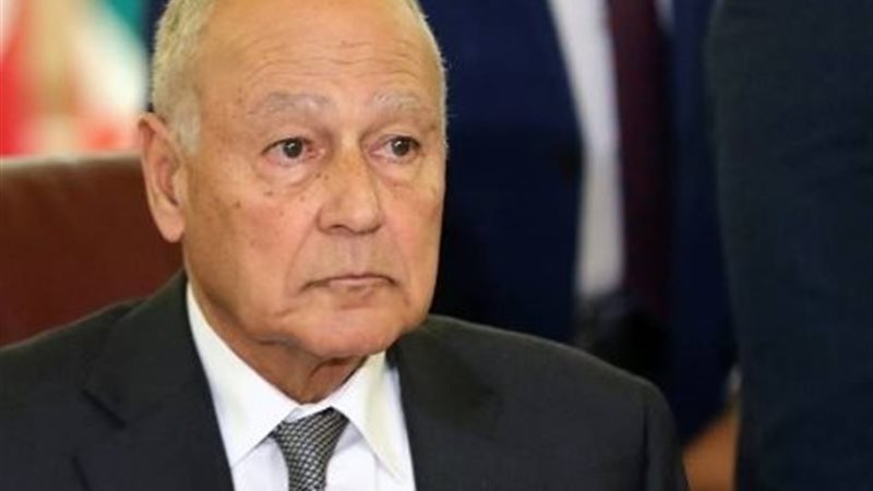 أحمد أبوالغيط، الأمين