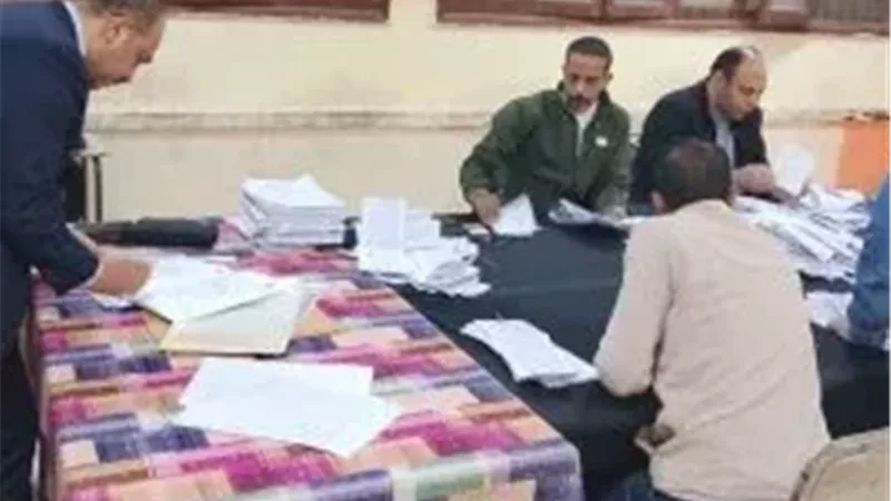 فرز أصوات الناخبين