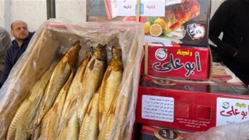 سوق اليوم الواحد