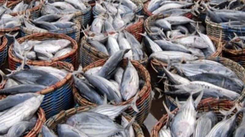 مصدر بالثروة السمكية: