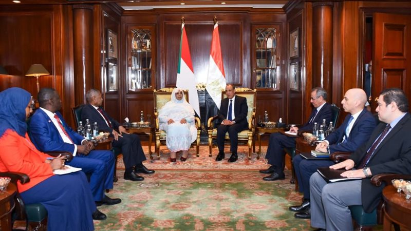 د. بدر عبدالعاطي