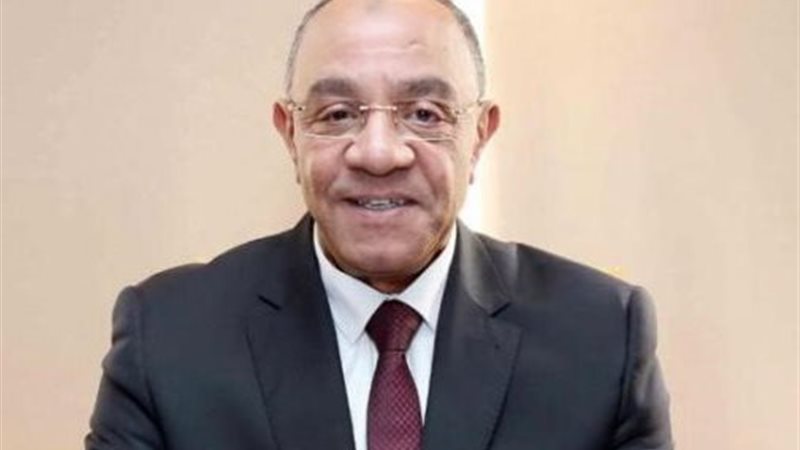 النائب عادل ناصر،