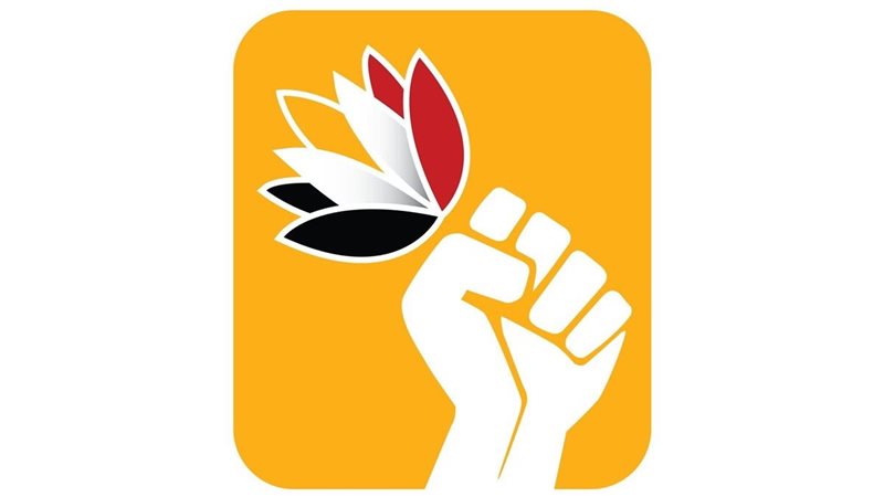 الحزب المصري الديمقراطي