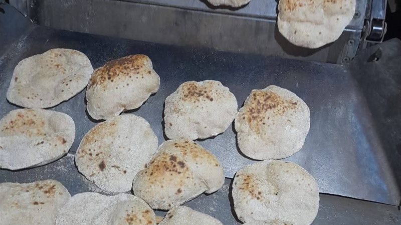 محاضر تموينية للمخابز