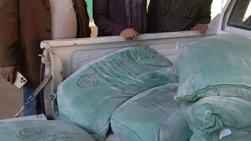 من مضبوطات الحملة